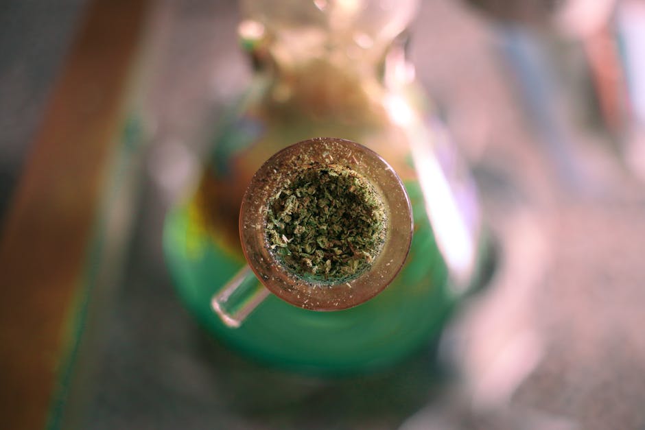 Weed in Prague: Tourist Relaxation Zones