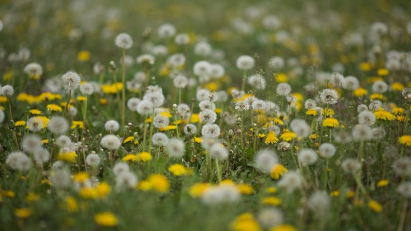 XTC in Prague: Party Scene Must-Knows