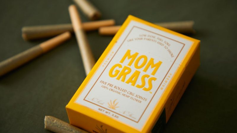 The Impact of Drugs on Prague’s Local Events