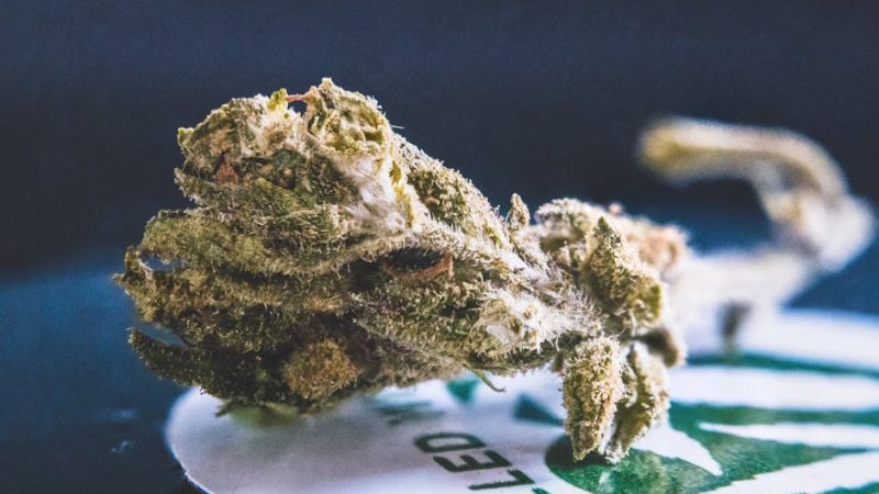 Peruvian Cocaine: Prague’s Smooth Favorite