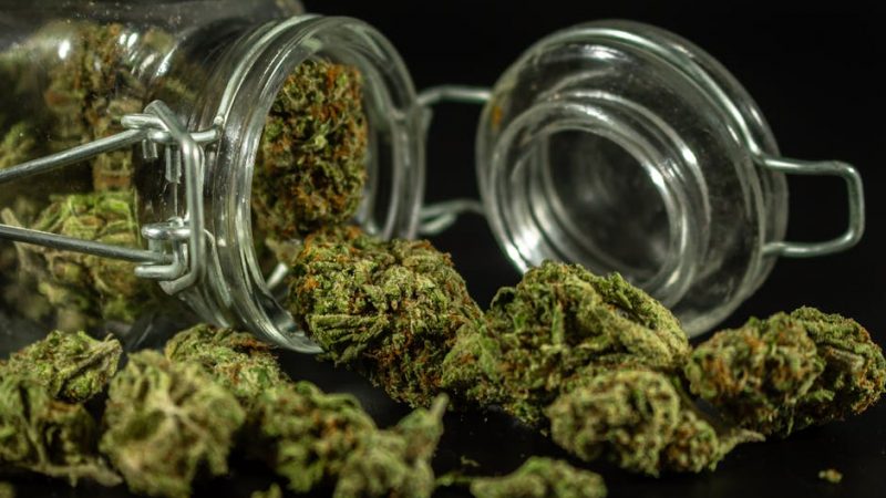 Brazilian Cocaine: Prague’s Sizzling Import