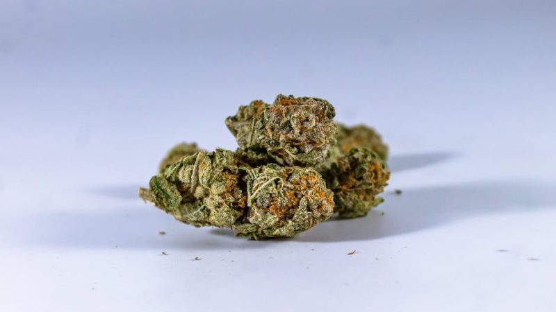 Brazilian Cocaine: Prague’s Spicy New Hit