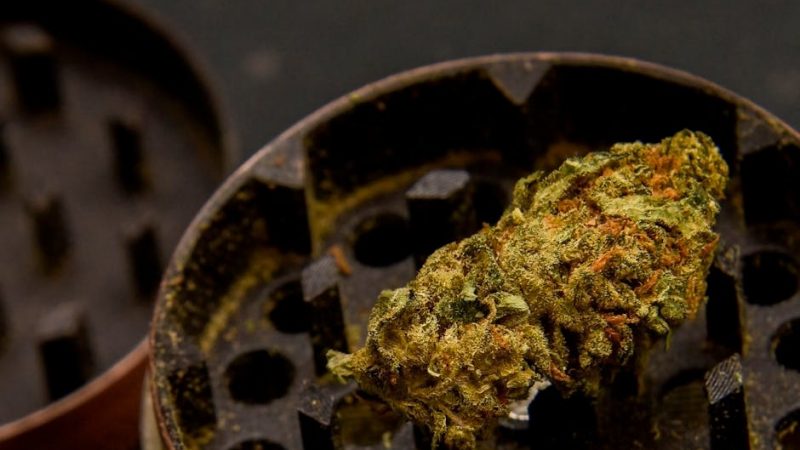 MDMA in Prague: Nightlife’s Golden Ticket