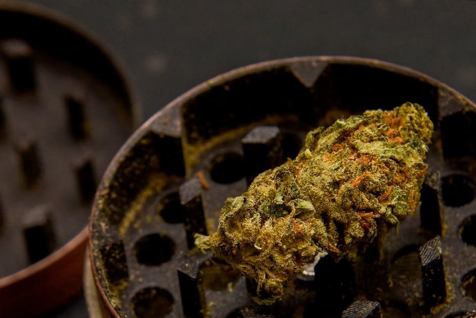 MDMA in Prague: Nightlife’s Golden Ticket