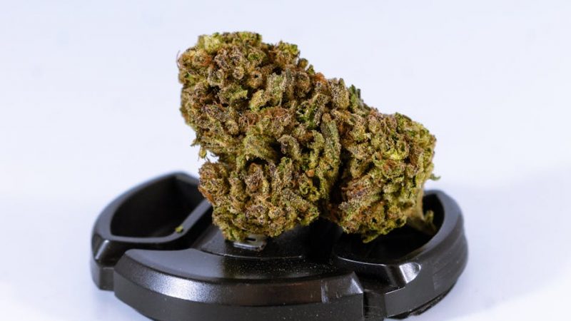 Pure Cocaine: Prague’s Spotless Standard