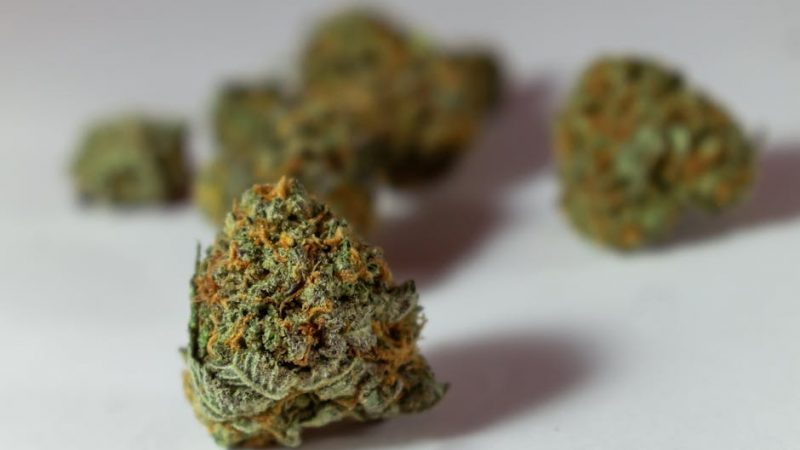 Columbian Cocaine: Prague’s Drug Leader