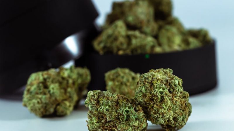 MDMA in Prague: Nightlife Essentials List