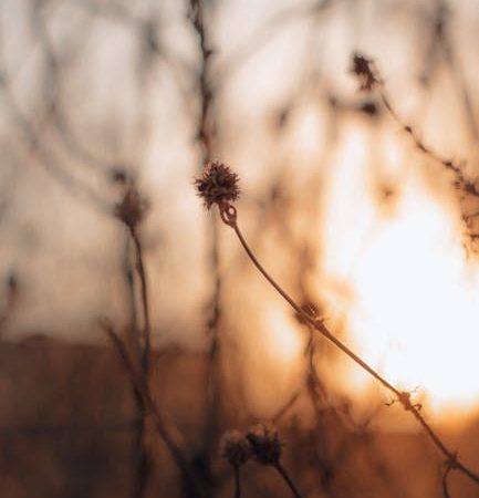 Columbian Cocaine: Prague’s Leading Hit