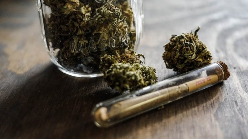 Dominican Cocaine: Prague’s Elusive Pick