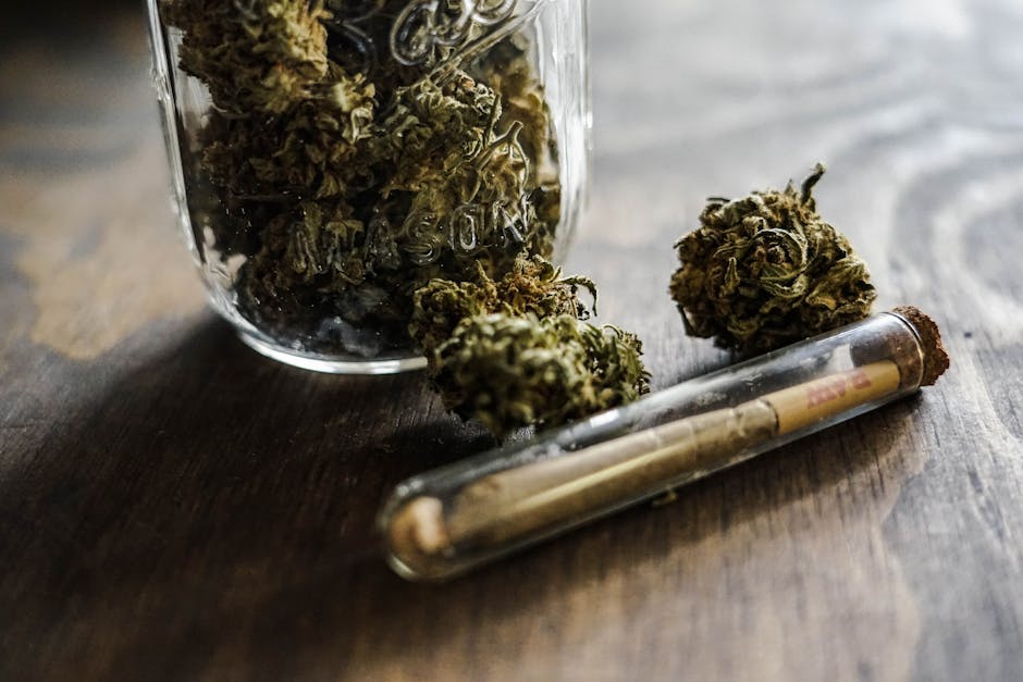 Dominican Cocaine: Prague’s Elusive Pick
