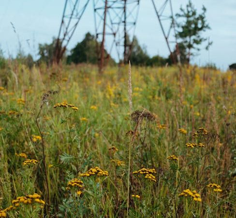 Dominican Cocaine: Prague’s Quirky Choice