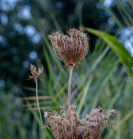 XTC in Prague: How It Powers the Night
