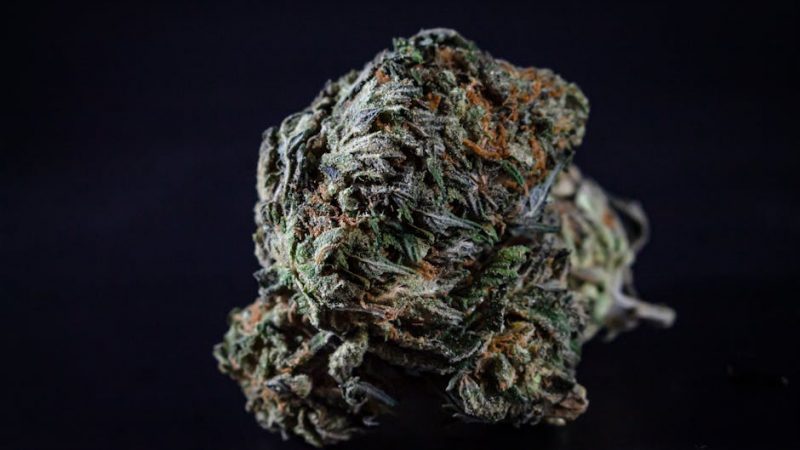 Pure Cocaine: Prague’s Perfect Standard