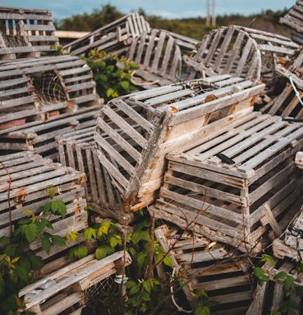 XTC in Prague: Rave Quality Must-Haves