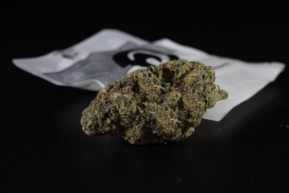 Weed in Prague: Where Locals De-Stress