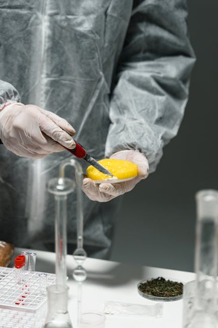 Columbian Cocaine in Prague: Market King