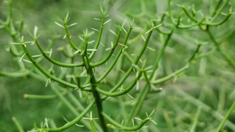 XTC in Prague: Partygoer’s Quality Picks