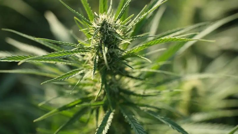 Finding a Plug in Prague: Street Tips