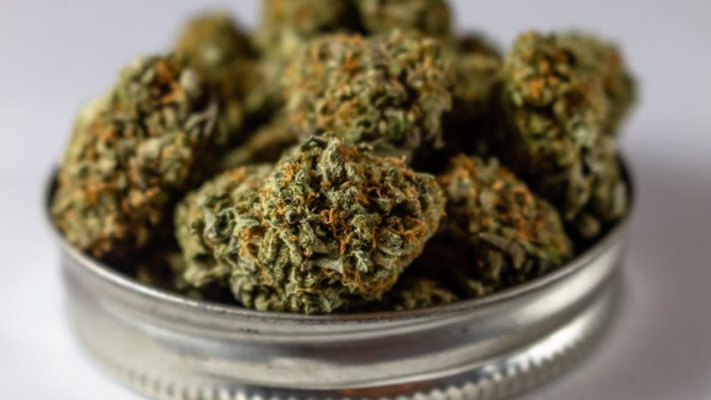 XTC in Prague: Rave Scene Quality Musts