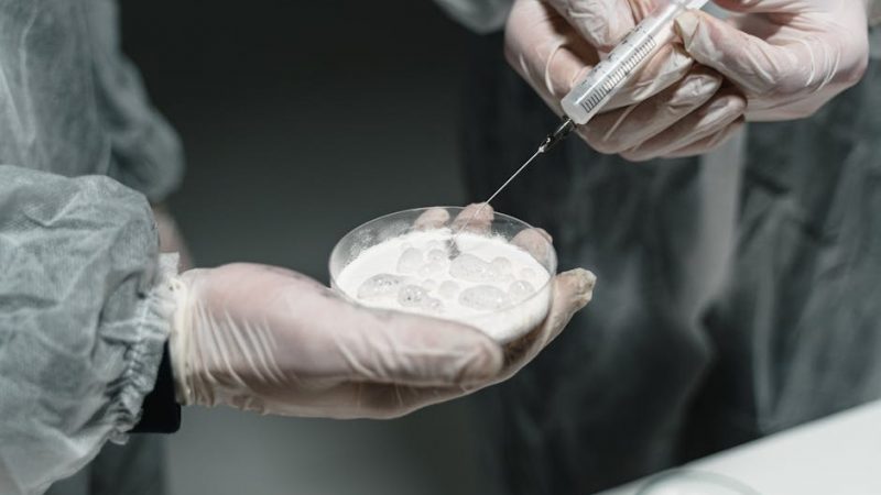 Weed in Prague: Local Preferences